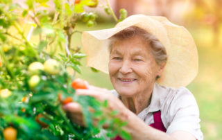 The Benefits of Gardening for Seniors