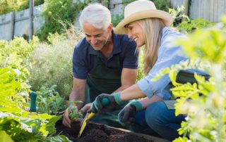 Gardening Delights for Seniors