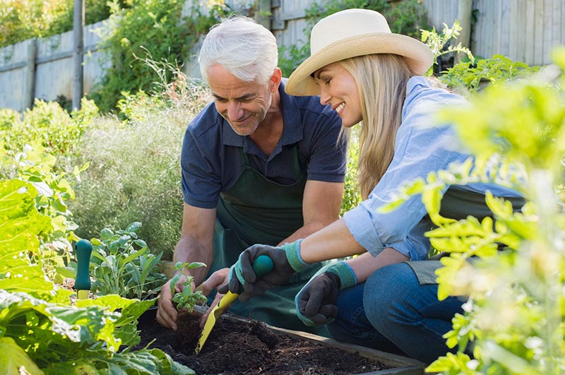 Gardening Delights for Seniors